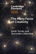 The Many Faces of Creativity: Exploring Synaesthesia through a Metaphorical Lens