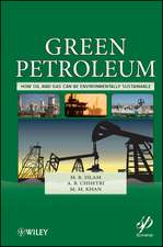 Green Petroleum – How Oil and Gas Can Be Environmentally Sustainable