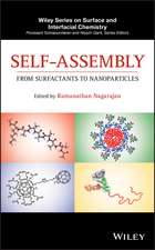 Self–Assembly – From Surfactants to Nanoparticles