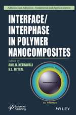 Interface/Interphase in Polymer Nanocomposites