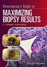 Veterinarian′s Guide to Maximizing Biopsy Results