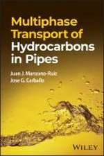 Multiphase Transport of Hydrocarbons in Pipes