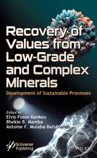 Recovery of Values from Low–Grade and Complex Mine rals: Development of Sustainable Processes