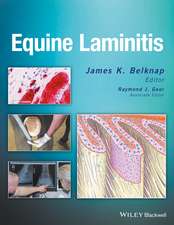 Equine Laminitis