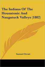 The Indians Of The Housatonic And Naugatuck Valleys (1882)