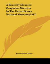 A Recently Mounted Zeuglodon Skeleton In The United States National Museum (1913)