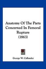 Anatomy Of The Parts Concerned In Femoral Rupture (1863)