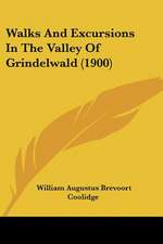 Walks And Excursions In The Valley Of Grindelwald (1900)