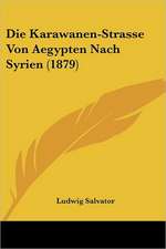 Die Karawanen-Strasse Von Aegypten Nach Syrien (1879)