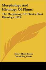 Morphology And Histology Of Plants