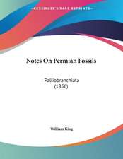 Notes On Permian Fossils