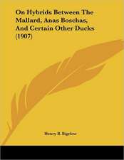 On Hybrids Between The Mallard, Anas Boschas, And Certain Other Ducks (1907)