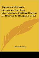 Tentamen Historiae Litterarum Sue Rege Gloriosissimo Matthia Corvino De Hunyad In Hungaria (1769)