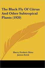 The Black Fly Of Citrus And Other Subtropical Plants (1920)