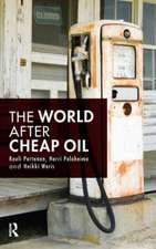 The World After Cheap Oil: How to Create and Implement Sustainability Plans in Any Business or Organization