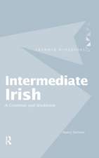 Intermediate Irish: A Grammar and Workbook