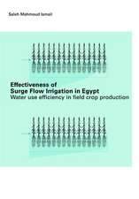 Effectiveness of Surge Flow Irrigation in Egypt: Water Use Efficiency in Field Crop Production