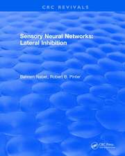 Revival: Sensory Neural Networks (1991)