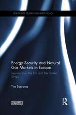 Energy Security and Natural Gas Markets in Europe: Lessons from the EU and the United States