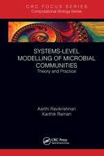 Systems-Level Modelling of Microbial Communities: Theory and Practice