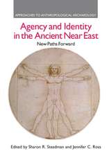 Agency and Identity in the Ancient Near East: New Paths Forward