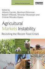 Agricultural Markets Instability: Revisiting the Recent Food Crises