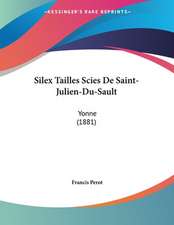 Silex Tailles Scies De Saint-Julien-Du-Sault