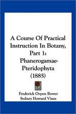 A Course Of Practical Instruction In Botany, Part 1