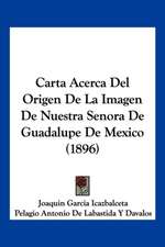 Carta Acerca Del Origen De La Imagen De Nuestra Senora De Guadalupe De Mexico (1896)