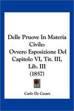 Delle Pruove In Materia Civile