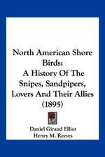 North American Shore Birds