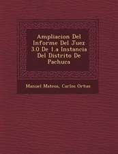 Ampliacion Del Informe Del Juez 3.0 De 1.a Instancia Del Distrito De Pachuca