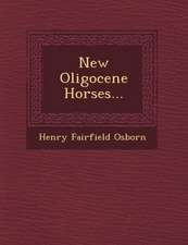 New Oligocene Horses...