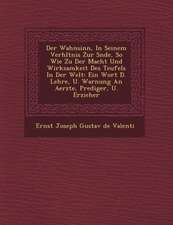 Der Wahnsinn, in Seinem Verh Ltnis Zur S Nde, So Wie Zu Der Macht Und Wirksamkeit Des Teufels in Der Welt: Ein Wort D. Lehre, U. Warnung an Aerzte, PR