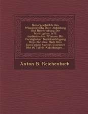 Naturgeschichte Des Pflanzenreichs Oder Abbildung Und Beschreibung Der Wichtigsten In U. Ausländischen Pflanzen Mit Vorzüglicher Berücksichtigung Ihre