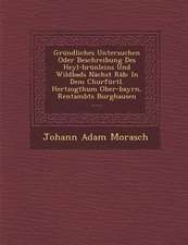 Grundliches Untersuchen Oder Beschreibung Des Heyl-Brunleins Und Wildbads Nachst Rab: In Dem Churfurtl. Hertzogthum Ober-Bayrn, Rentambts Burghausen .