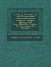 Vorlegung Der Gr Nde Aus Welchen Die Gebr Der Wilhelm Und Wenzel Grafen Zu Leiningen, Dachsburg Und Guntersblum Ihre Familien- Und Successionsrechte B