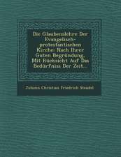 Die Glaubenslehre Der Evangelisch-Protestantischen Kirche: Nach Ihrer Guten Begrundung, Mit Rucksicht Auf Das Bedurfniss Der Zeit...