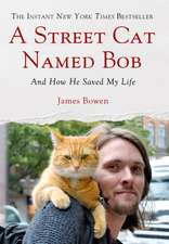 A Street Cat Named Bob: And How He Saved My Life