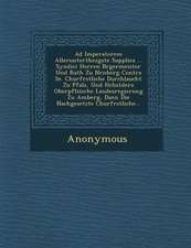 Ad Imperatorem Allerunterth Nigste Supplica ... Syndici Herren B Rgermeister Und Rath Zu N Rnberg Contra Se. Churf Rstliche Durchlaucht Zu Pfalz, Und