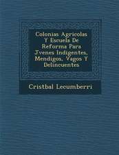 Colonias Agricolas Y Escuela De Reforma Para J�venes Indigentes, Mendigos, Vagos Y Delincuentes