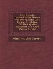 Vaterl Ndische Geschichte Des Elsasses Von Der Fr Hesten Zeit Bis Zur Revolution 1789 Nach Quellen Bearbeitet Von Adam Walther Strobel