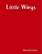 Little Wings: Life After Loss