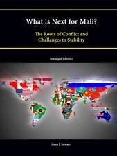 What Is Next for Mali? the Roots of Conflict and Challenges to Stability (Enlarged Edition)