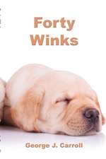 Forty Winks