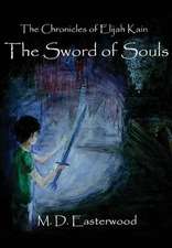 The Sword of Souls