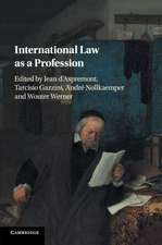 International Law as a Profession