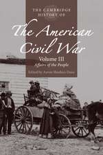 The Cambridge History of the American Civil War: Volume 3, Affairs of the People