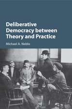 Deliberative Democracy between Theory and Practice