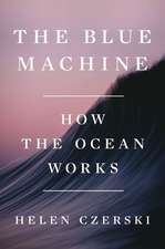 The Blue Machine – How the Ocean Works